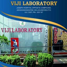 Findby Viji laboratory , joseph hospital opposite, Azhakiyamandapam, , Mulagumoodu, Tamil Nadu 629167